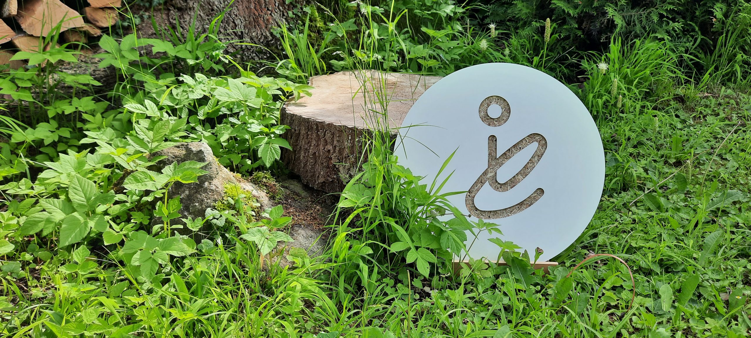 Isabella Epple Trauma und Sicherheit